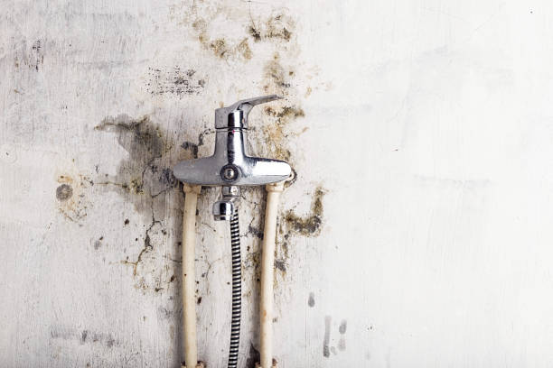 Best Water Damage Restoration  in Richardson, TX