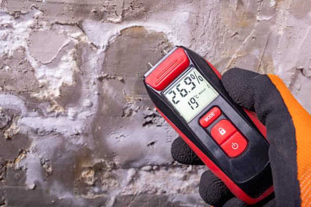 Richardson, TX Mold Removal Company