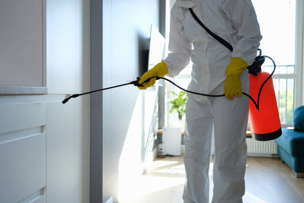 Reliable Richardson, TX Mold Removal Solutions