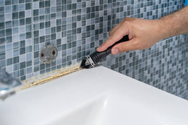 Best Home Mold Removal  in Richardson, TX
