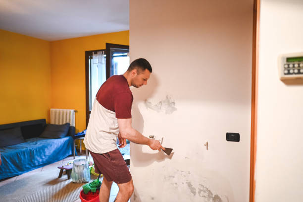 Best Local Mold Removal Service  in Richardson, TX