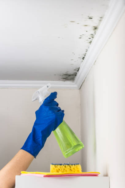 Water Damage Restoration in Richardson, TX
